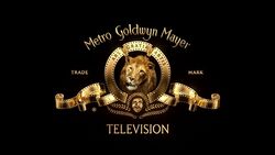 Metro-Goldwyn-Mayer Television.jpg