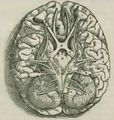 Thumbnail for version as of 11:59, 4 April 2017